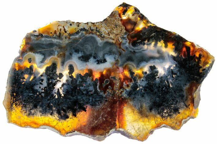 Polished Trent Agate With Stibnite & Realgar - Oregon #227567